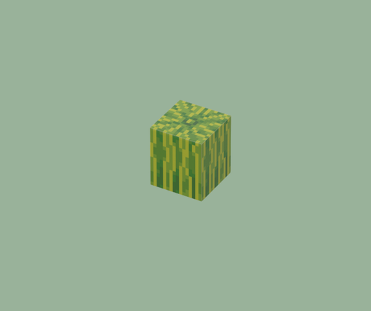 Melon - My magnetic toys
